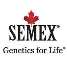 Semex