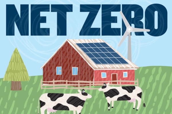 net zero