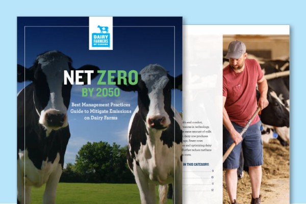 net zero