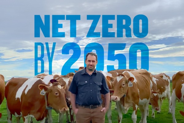 Net-Zero 2050