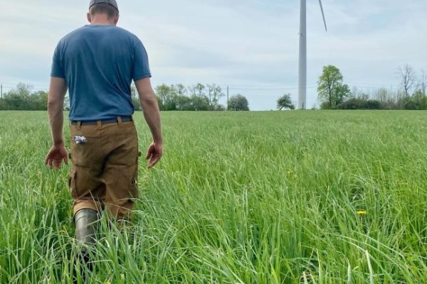 A Canadian dairy farmer in fields with a wind turbine