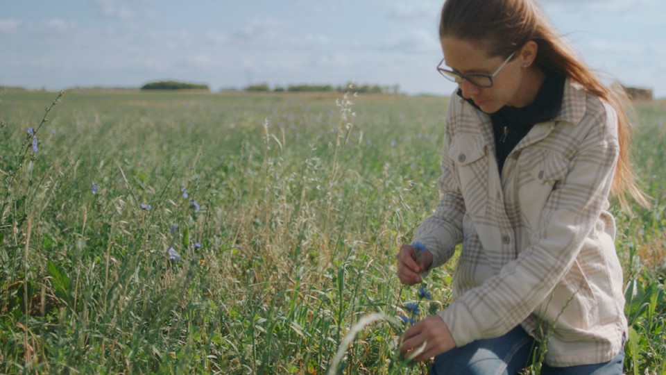 Erin in a field