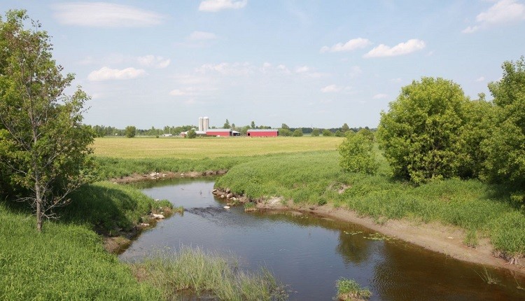 A stream near a Canadian farm