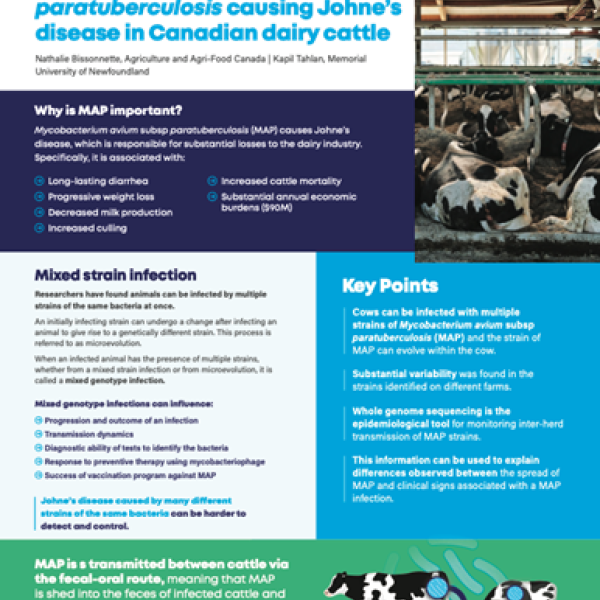 Investigating different strains of Mycobacterium avium subsp. paratuberculosis causing Johne’s disease in Canadian dairy cattle