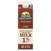 Brum's Dairy Partly Skimmed Chocolate Milk 1% M.F. 1L